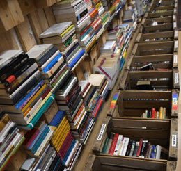 notibrasil política