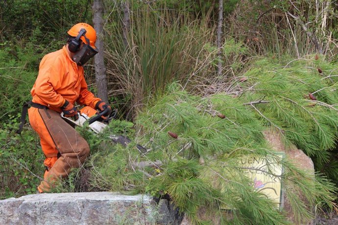 Trabajos mantenimiento Sierra Mijas prevencion incendios