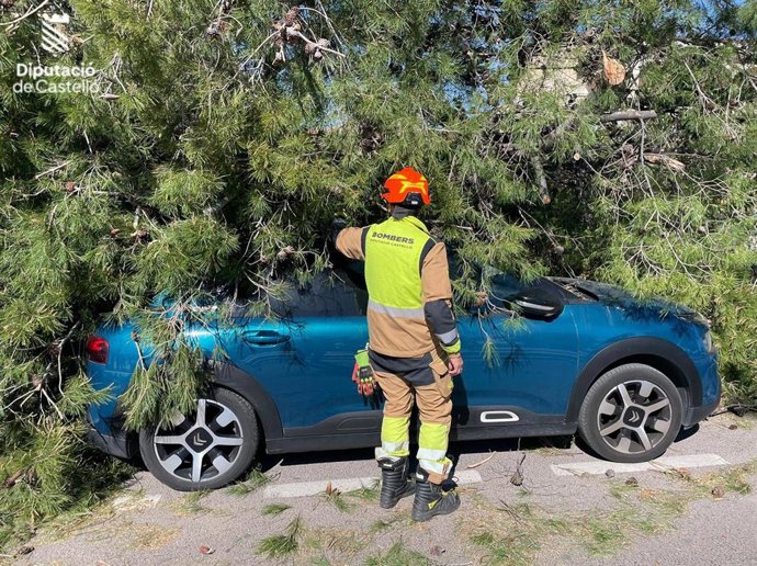 Imagen de un servicio realizado por efectivos del Consorcio de Bomberos de Castellón como consecuencia del viento.