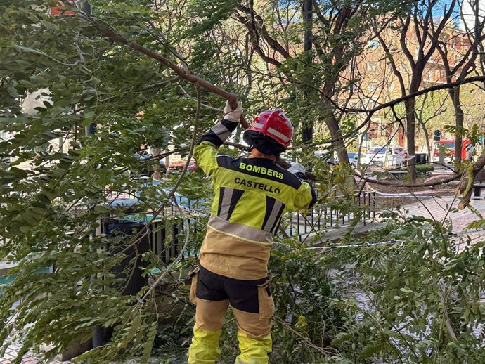 Imagen de un bombero de la ciudad de Castelló de la Plana durante un servicio como consecuencia del viento.