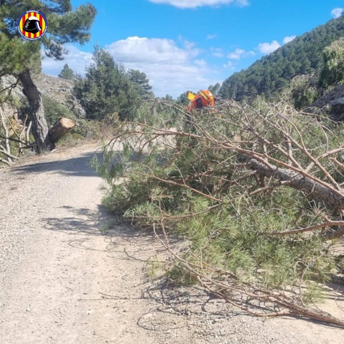 Imagen de una intervención del Consorcio de Bomberos de Valencia como consecuencia del fuerte viento.