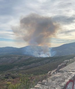 Incendio forestal declarado el domingo 29 de marzo de 2026 en los alrededores de Acebo (Cáceres)