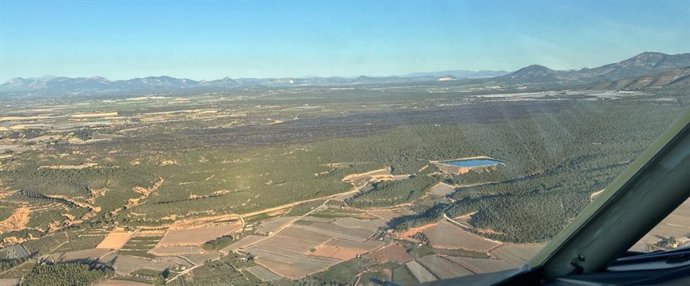 Imagen del terreno quemado por el incendio declarado en Llano de Cabra (Totana), en las inmediaciones de Sierra Espuña