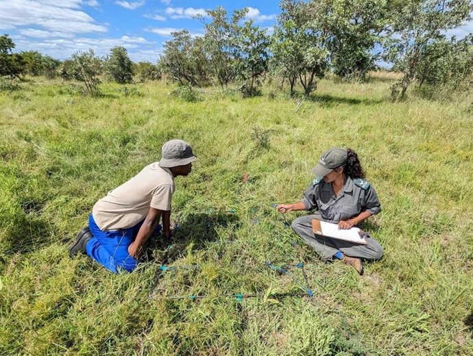 Investigadores en la sabana africana.