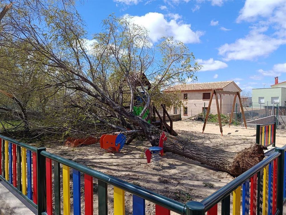 Olmo caído sobre el parque infantil.