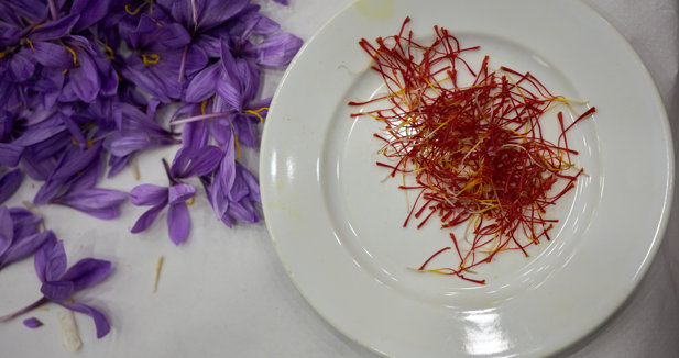 EpAgro - Agricultura