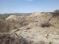 El alcalde de Los Guájares (Granada) recuerda el incendio que arrasó 5.500 hectáreas en 2022: "No tiene nada que ver"