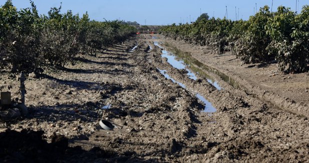 EpAgro - Agricultura