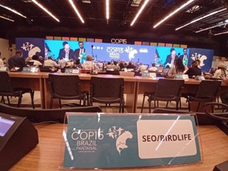 Presencia de SEO/BirdLife en la COP 15.