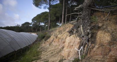 Es Andalucía - Sevilla