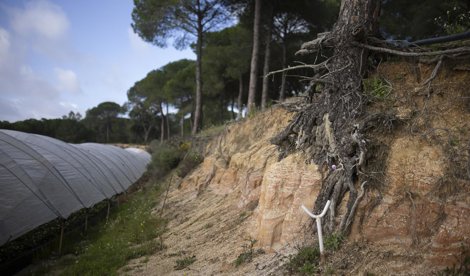 Es Andalucía - Sevilla