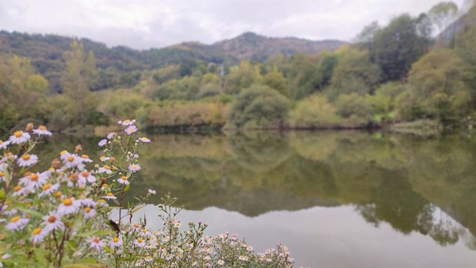 Archivo - Embalse de Rioseco, en el concejo asturiano de Sobrescobio.