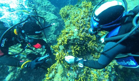 Comunicados Ocio y Deportes