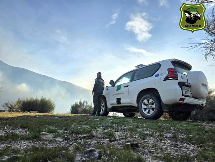 Medios trabajando en la extinción del incendio forestal en Losar de la Vera (Cáceres)