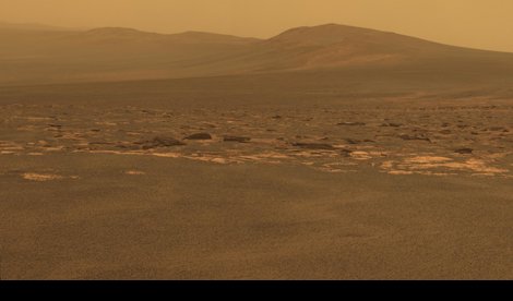 notibrasil sociedade