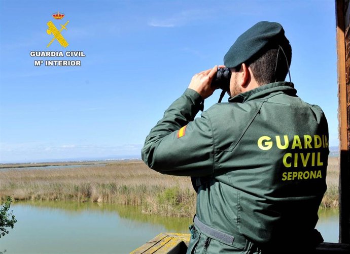 Archivo - Imagen de archivo de un agente del Seprona