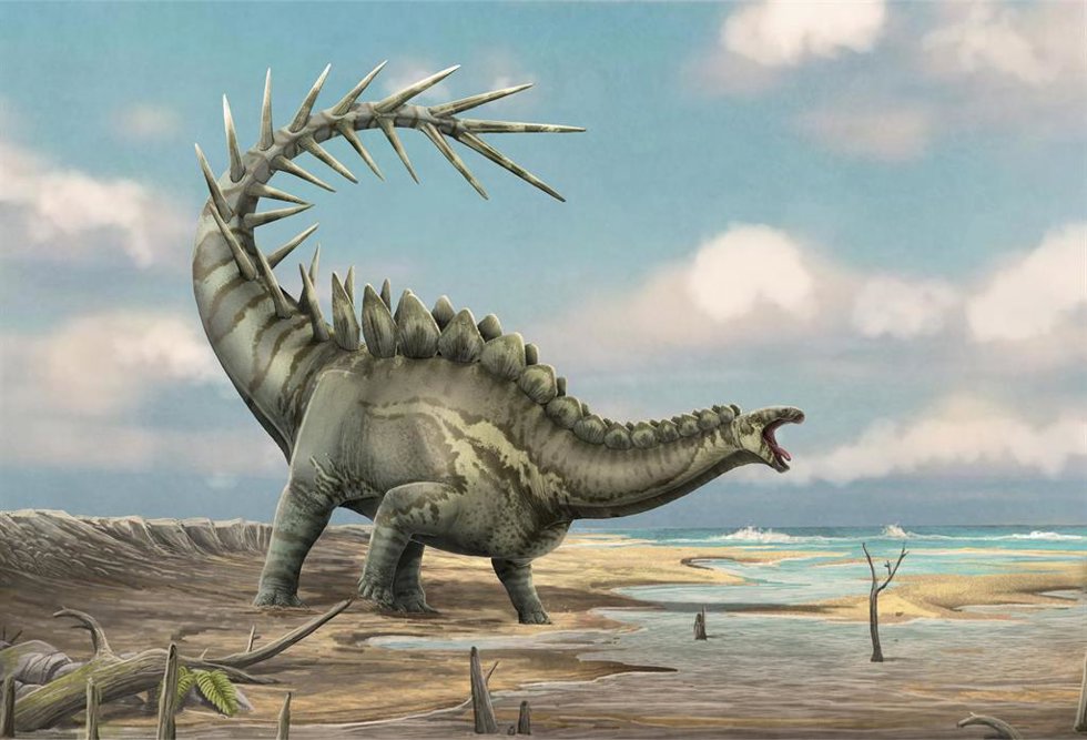 Ilustración de Dacentrurus.
