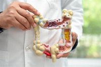 Experto destaca el papel de la alimentación y el estilo de vida saludable en la prevención del cáncer de colon