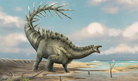 notibrasil sociedade