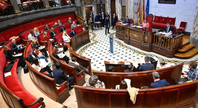 Imagen del pleno ordinario de marzo 2026 celebrado en el Ayuntamiento de València.