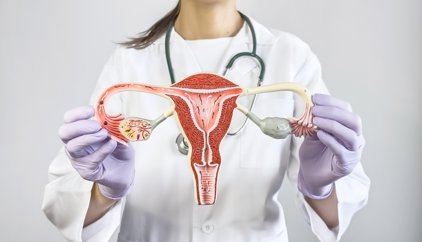 El ayuno intermitente, un aliado para la regulación hormonal en síndrome de ovario poliquístico