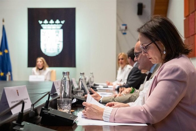 La secretaria general de Igualdad y Conciliación, Ara Sánchez Vera, en la reunión del Consejo de Gobierno de este martes.