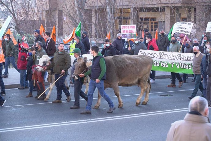 Archivo - Movilización del sector agroganadero