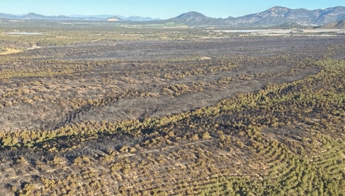 Imagen del incendio declarado en Llanos de las Cabras (Aledo), junto a Sierra Espuña