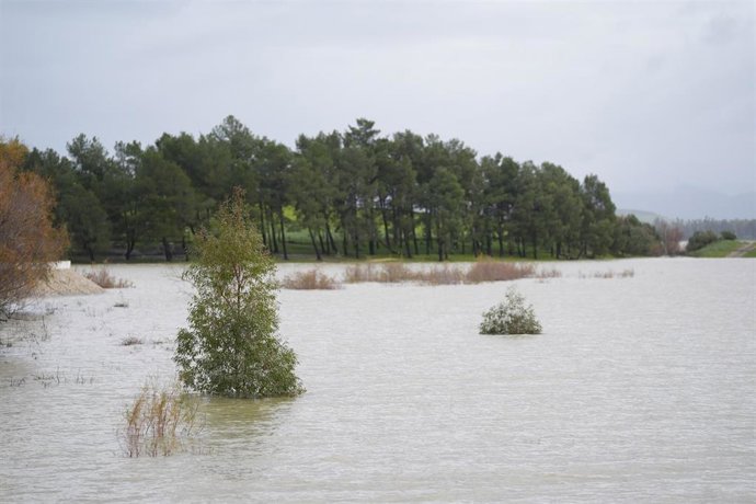 Archivo - Imagen de archivo del pantano de Bornos (Cádiz).