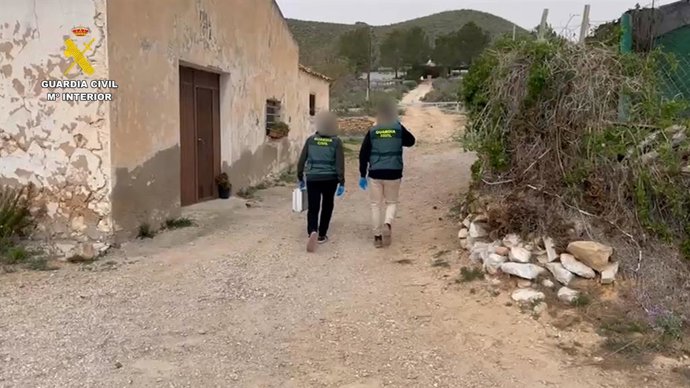 Vídeo de la noticia