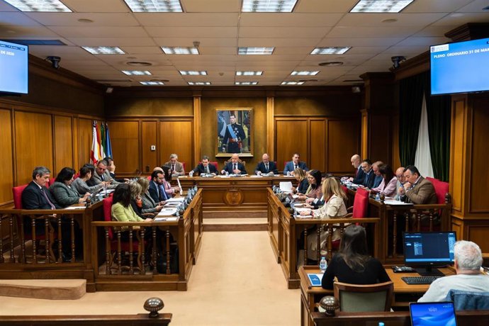 Pleno ordinario de la Diputación Provincial de Almería.