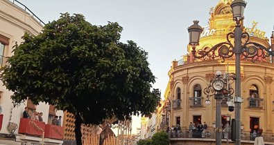 Jerez al día