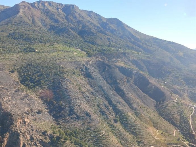 Vista del área afectada por el incendio en el paraje de Alberca Alta en Los Guájares.