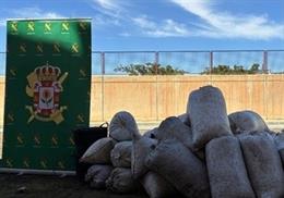 Aprehensión en Darro (Granada) de 1.200 kilos de aceituna presuntamente hurtada por cuatro personas que están siendo investigadas por la Guardia Civil