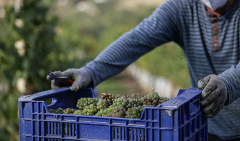 EpAgro - Agricultura