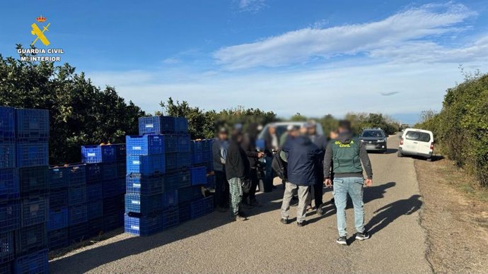 Operatiu contra el robatori de cítrics