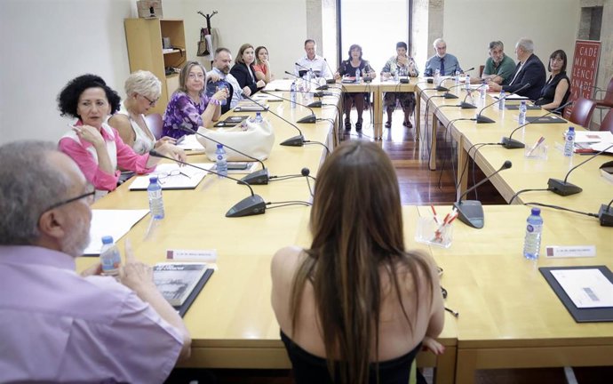 Archivo - Pleno de la AVL (archivo)