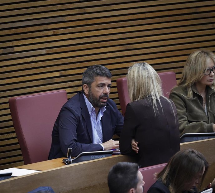 El expresidente de la Generalitat, Carlos Mazón, durante el pleno de Les Corts