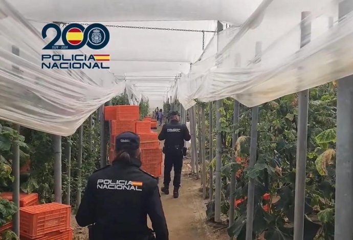 La Policía Nacional inspecciona un invernadero de El Ejido (Almería).