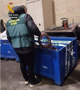 Imagen de un agente de la Guardia Civil en la zona en la que han actuado los detenidos