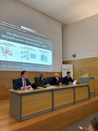 Encuentro internacional en Granada sobre la enfermedad rara Nedamss.