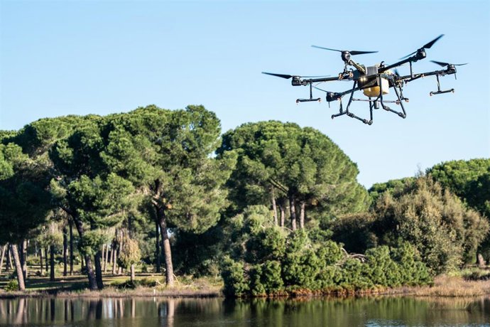 Laguna de San Lázaro (Villamanrique de la Condesa,Sevilla) donde ha tenido lugar la ejecución de tratamiento anti mosquito a través de dron. 