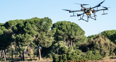 Diputación de Sevilla