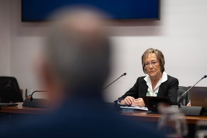 La exdirectora general de Universidades y Recursos Educativos del Gobierno de Navarra Nekane Oroz, en la comisión de investigacíon del Parlamento de Navarra sobre adjudicaciones públicas.
