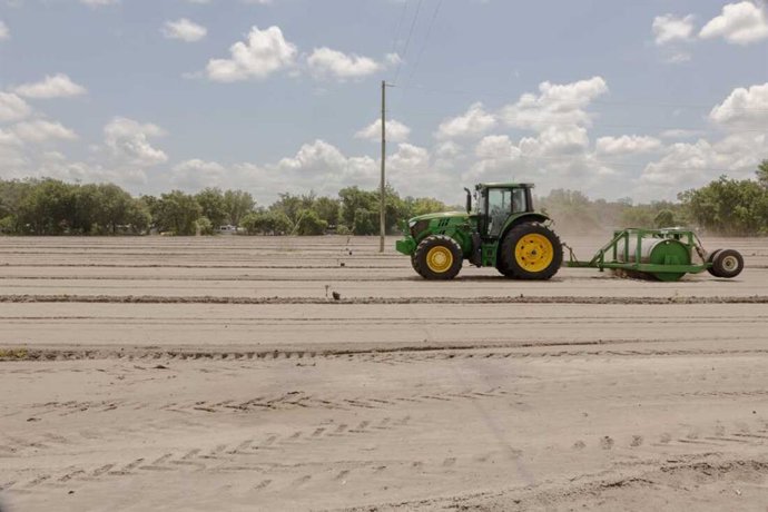 Archivo - Un tractor prepara un campo de fresas fuera de temporada.