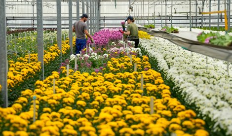 EpAgro - Agricultura