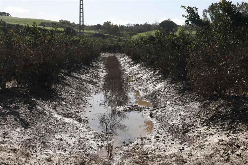 Archivo - Una zonas agrícola afectada por el tren de borrascas.