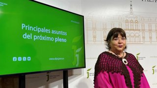 Pilar Parra informa sobre los asuntos del próximo pleno de la Diputación.