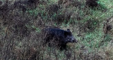 EpAgro - Agricultura