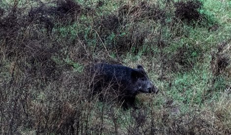 EpAgro - Agricultura